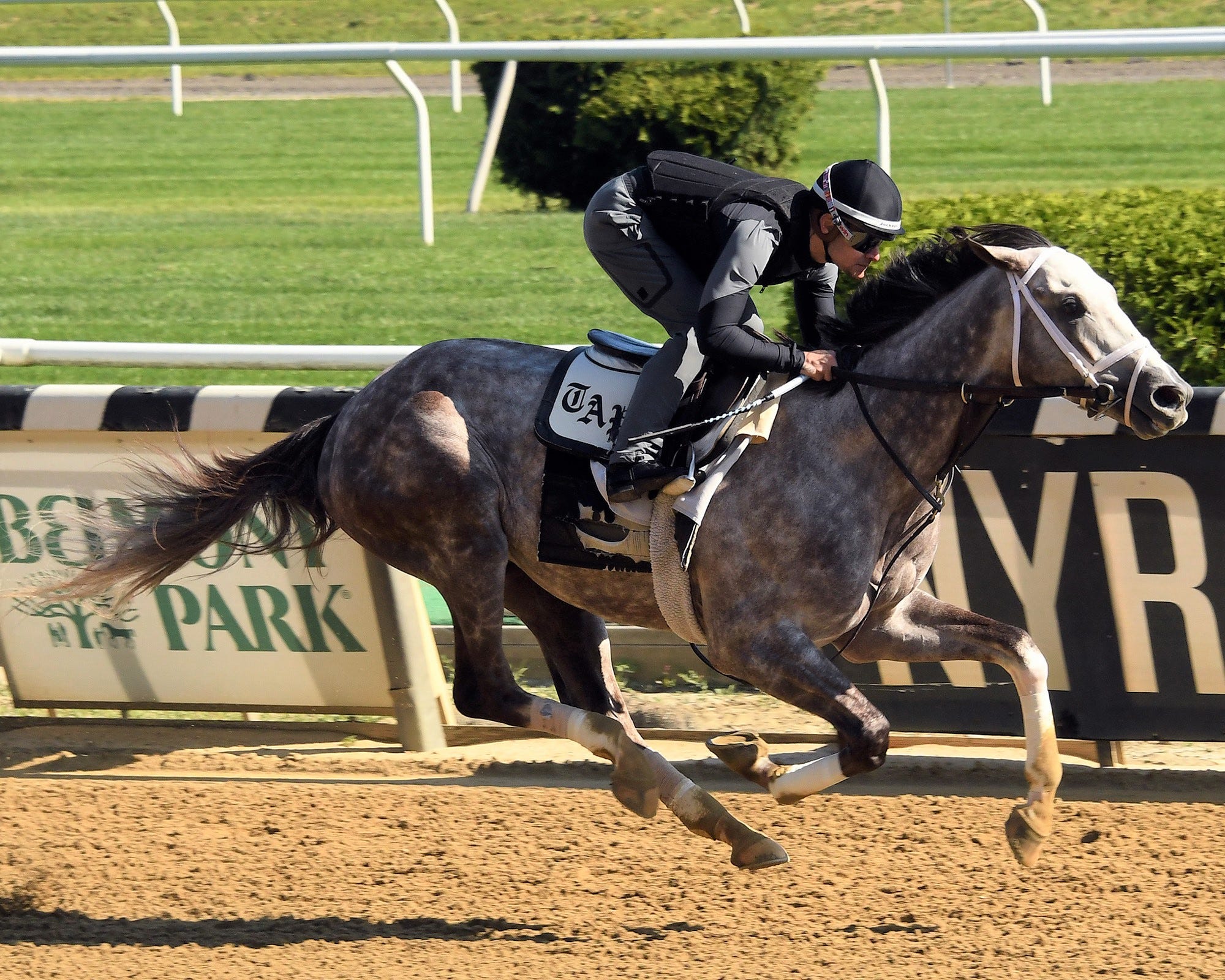 Tracy Meyer Rumor Belmont Stakes 2023 Entries